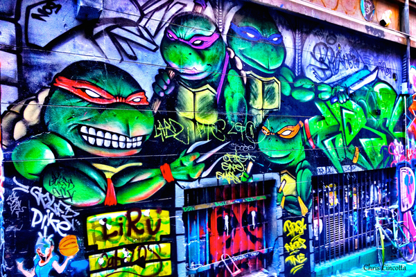 Ninja Turtles - Print